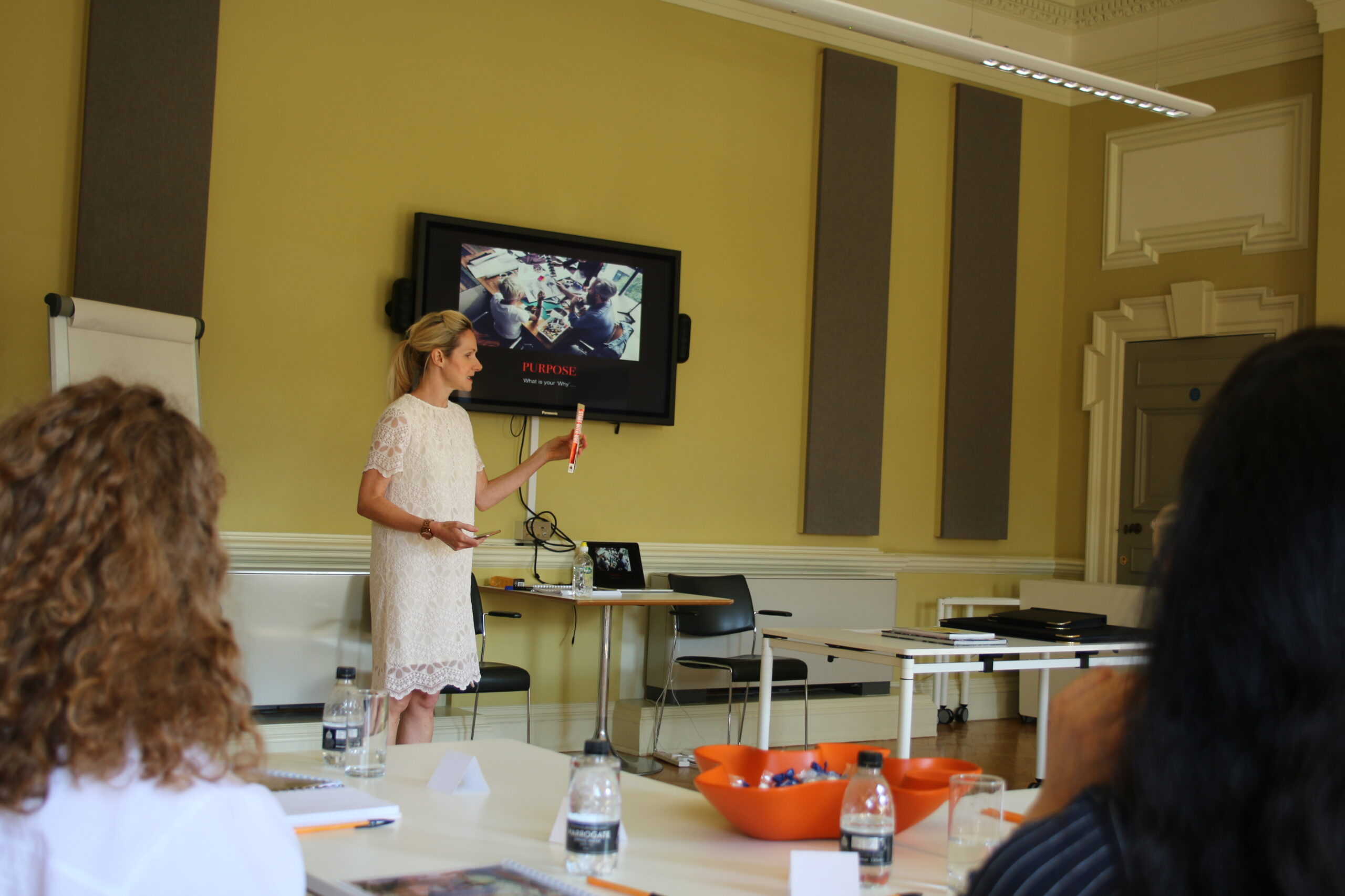 Marie speaking at LYDJIF copy